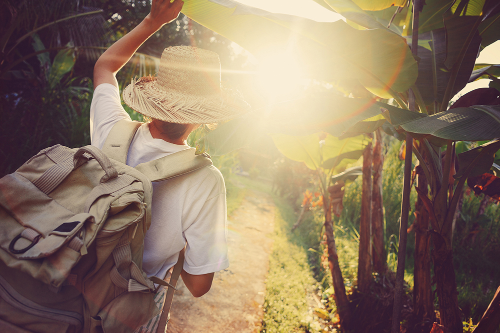 persona caminando de espaldas por un sendero lleno de vegetación con la luz del sol dandole de frente